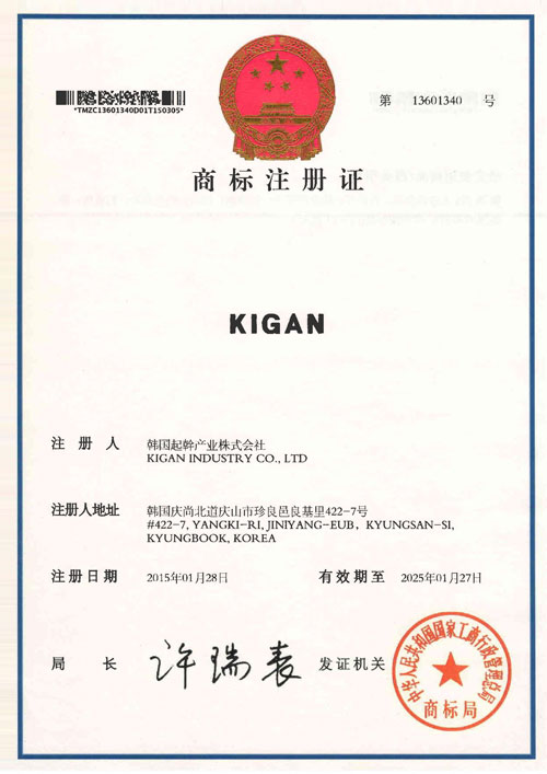 CHINA PATENT