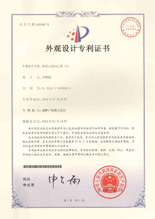 CHINA PATENT