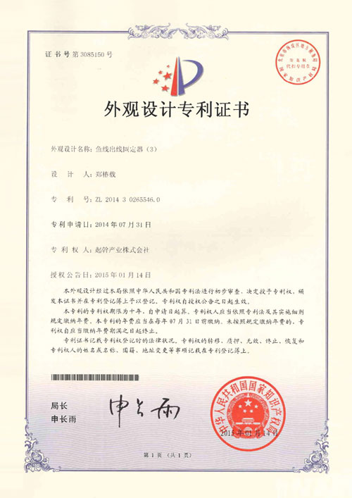 CHINA PATENT